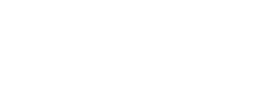 Satinix - logo
